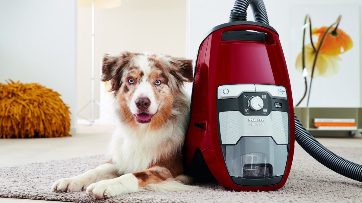 goodlifevan's tweet image. I have never been more excited to vacuum! Serious power in the newest @mielecanada #blizzardishere #vortextechnology #bagless #mieleblizzard