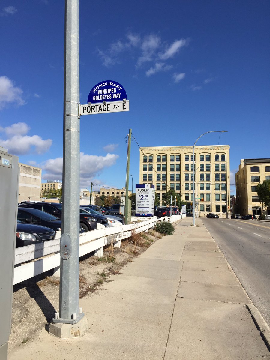 Wpg_Goldeyes's tweet image. Portage Ave E from Main to Westbrook is now known as Honourary Winnipeg Goldeyes Way🙌🏆