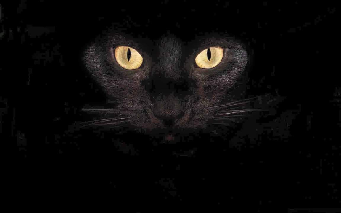 Marvelous tweet media