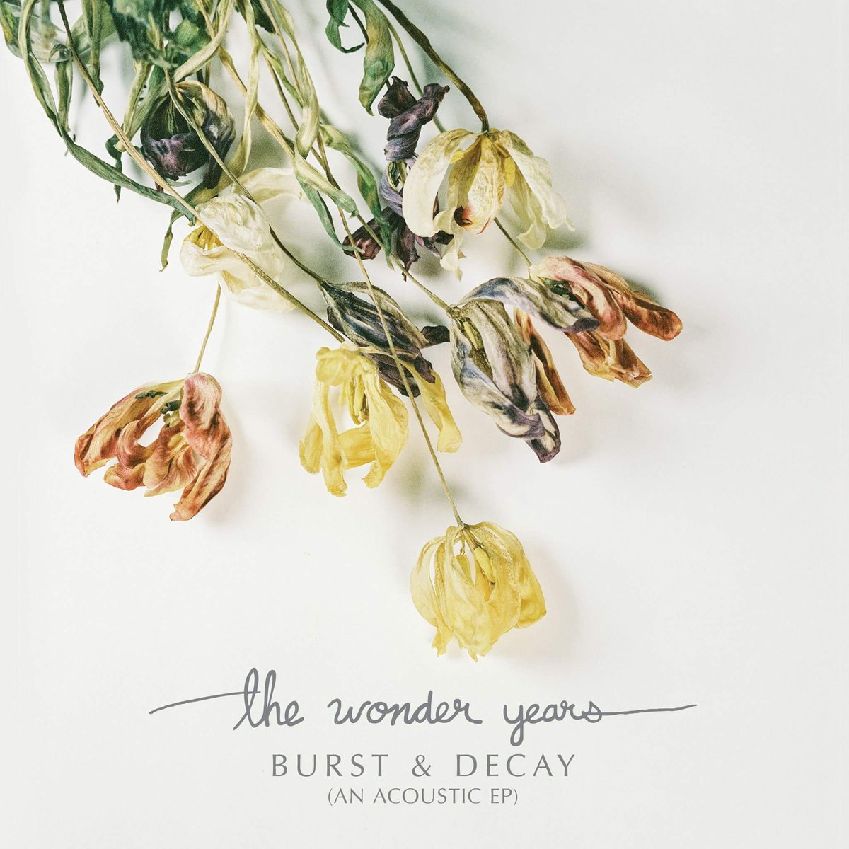 hopelessrecords's tweet image. Have you guys checked out the newest  @thewonderyears EP?🌼 Pick up Burst &amp;amp; Decay now: smarturl.it/BurstDecay