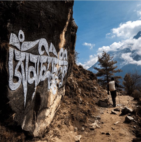 MountainQuests's tweet photo. How to #prepare for a #trekking trip in the #Himalaya | https://t.co/LVPYvoJdOr https://t.co/fB6SWSUZwi