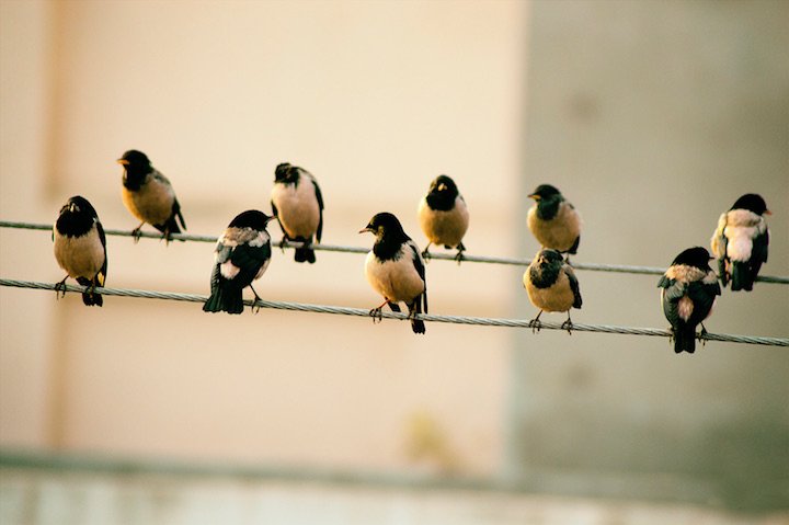 Be a Social Superstar: How to Get More Followers on Twitter. #smallbiz #startup bit.ly/2wlEDRb