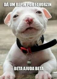 Vamos pontuar BETAS. .