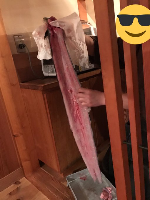 グロ画像のtwitterイラスト検索結果 古い順