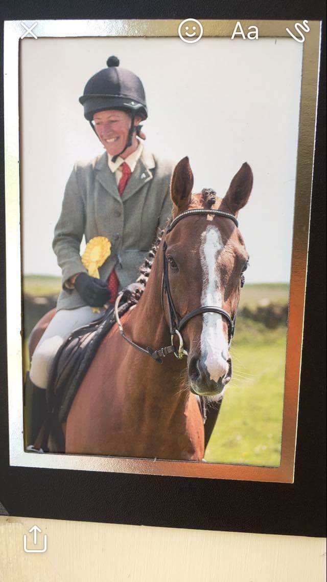 RETIRED RACEHORSE FOR SALE 
ZEPHYR / £3000 
Please get in touch on 01769574174
Please Retweet!