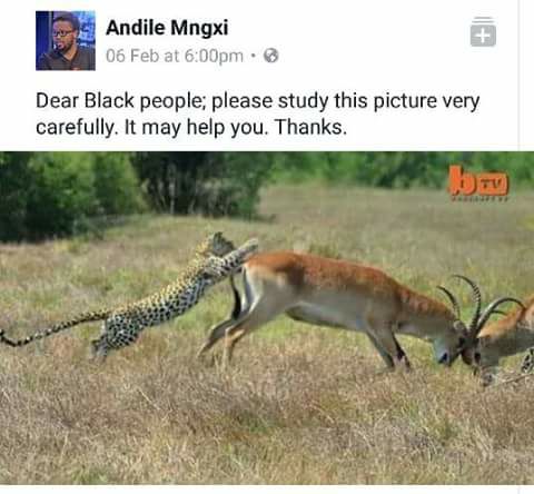 FundPan's tweet image. Our Understanding is when the 2 fight the third one enjoys the goodies! #AfricanUnite #AfricanAmerican