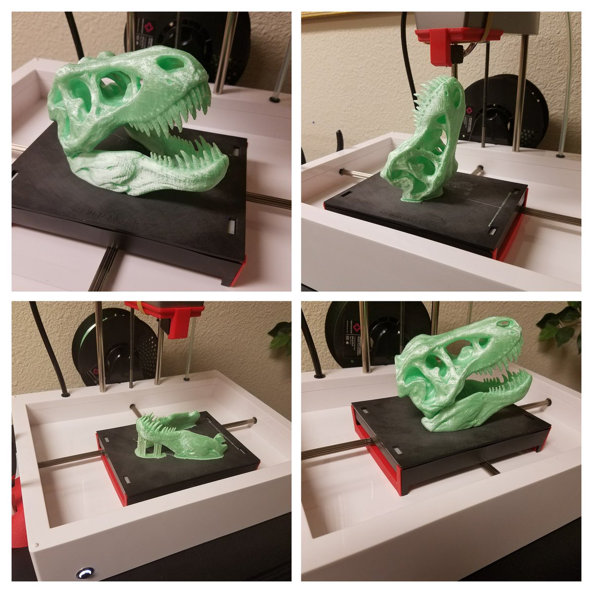 RickyGode's tweet photo. I've been wanting to make this T-Rex Skull for a while! @newmatter Mot-T #madewithmodt #MIEExpert #emsproud https://t.co/0ig35ZUxsa