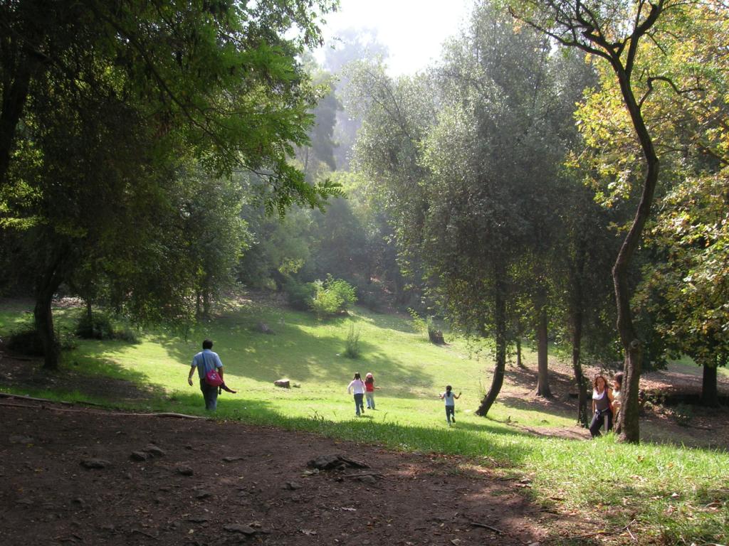 acamposm10's tweet image. 100 años del @PARQUEMET_  un siglo de entretención y de vida sana para Santiago #100añosParquemet Felicidades!  @MauricioFabry @Orrego
