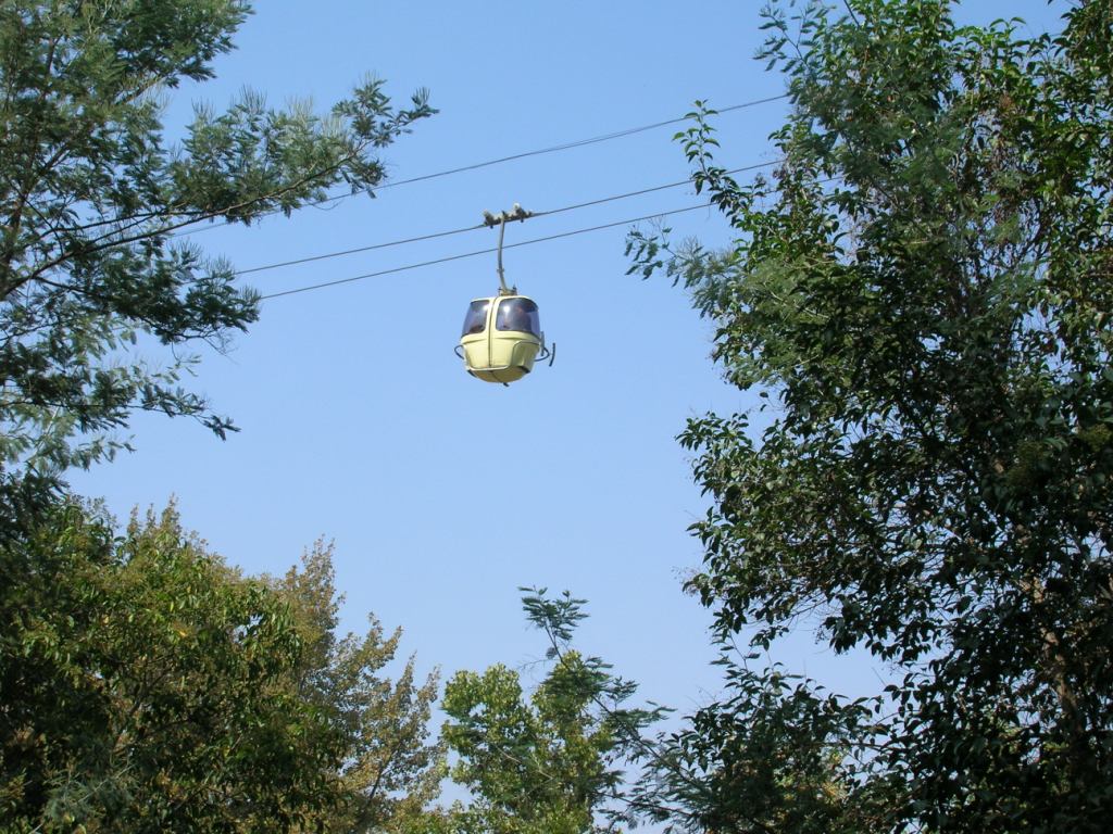 acamposm10's tweet image. 100 años del @PARQUEMET_  un siglo de entretención y de vida sana para Santiago #100añosParquemet Felicidades!  @MauricioFabry @Orrego