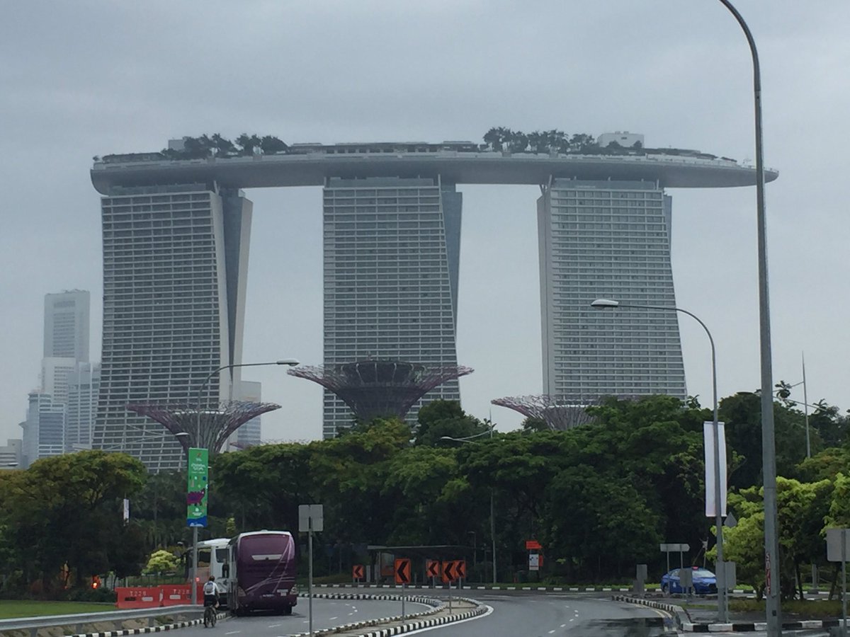 FGaschen's tweet photo. Hope to see you at gravitation-defying building Marina Bay Sands to make new friends among Singapore and Asia vets #wsava2017 #wsava2018 https://t.co/lLyzl3dNDZ