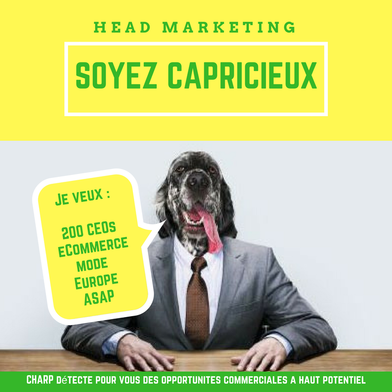 CharpCo's tweet photo. Démarchez les #ecommerçants vraiment dans votre #cible, et atteignez les #décideurs pertinents.

#ParisRetailWeek #leadgen #LeadGeneration https://t.co/hez01RviCs