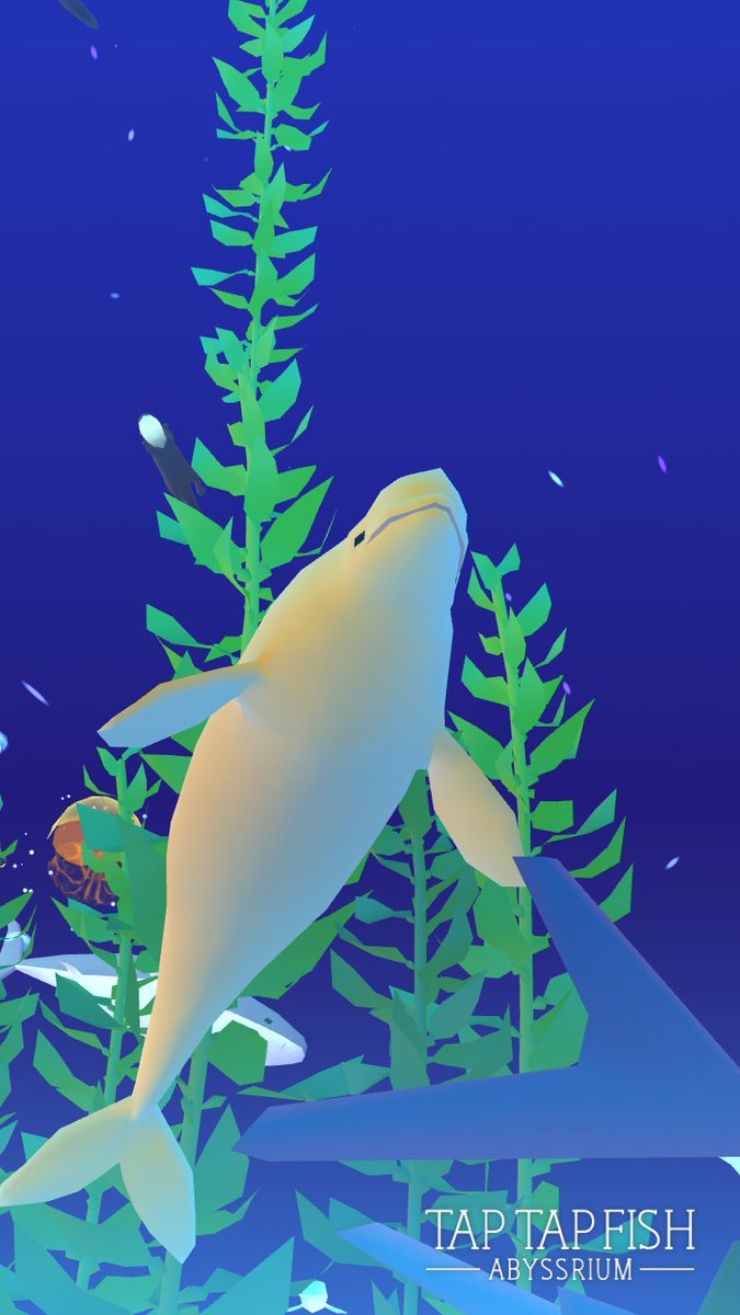 tryit289772's tweet image. 我的 白鯨:) 
#taptapfish
Download: onelink.to/jhe4sh