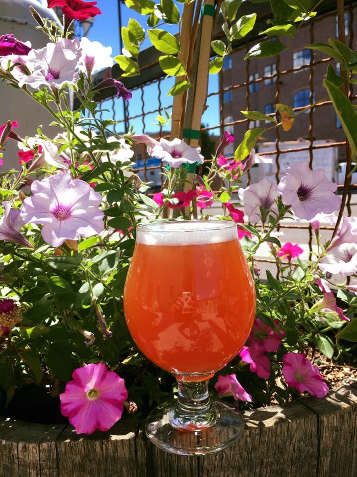 Happy National Drink Beer Day! What's your favorite place to get a cold brew? #nationaldrinkbeerday
PC: <a href="/DarkSkyBrewing/">Dark Sky Brewing</a>