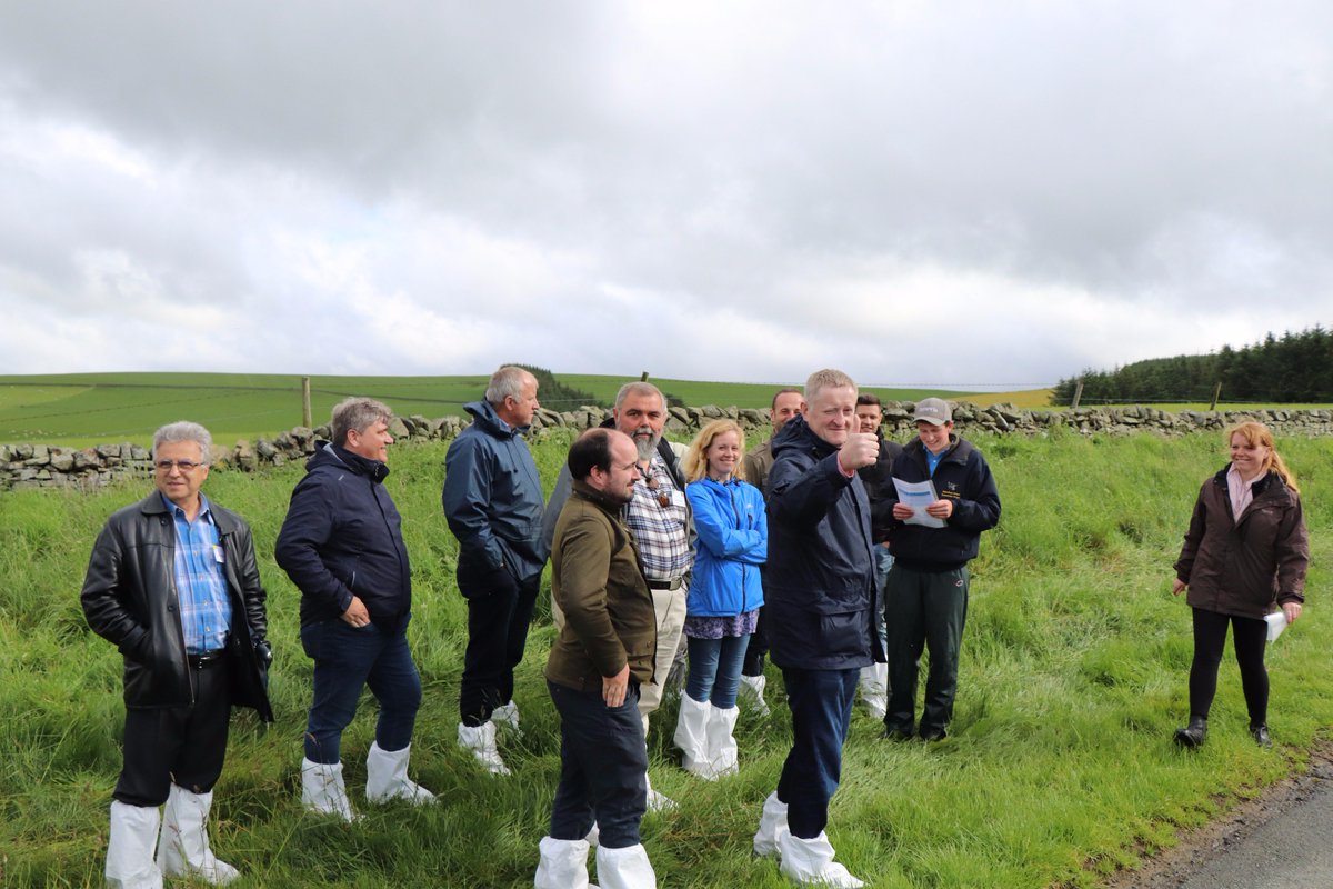 EuroSheepEU's tweet image. Registration for the 2nd SheepNet transnational workshop in Timisoara (Romania) the 15-16 November are open here sheepnet.network