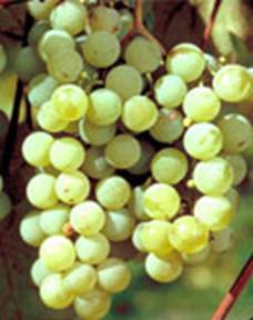 Check out our September newsletter! conta.cc/2yHtpWo