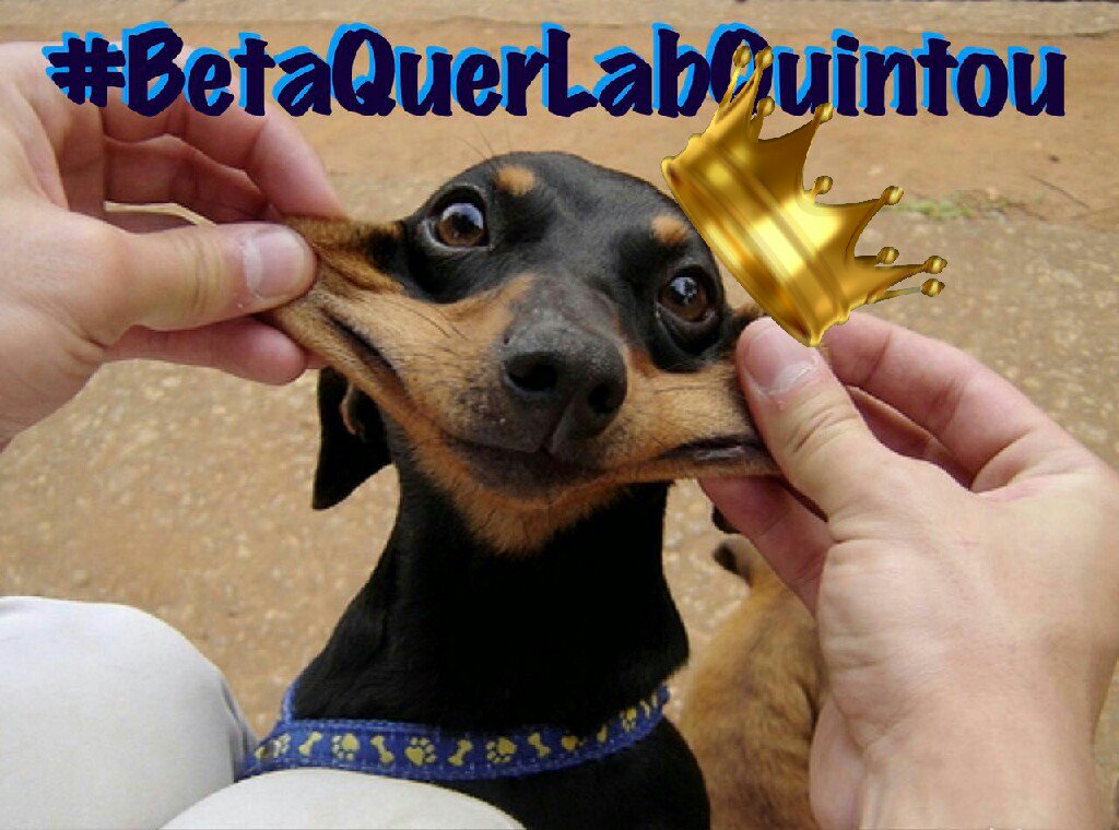Rodada tá acabando gente. Perde tempo não que #BetaQuerLabQuintou 😎🤙🏻👊🏻😁