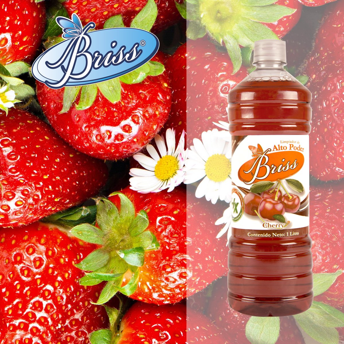 briss_vzla's tweet photo. Las fragancias y olores crean momentos especiales ¿Por qué no hacer de nuestro día a día una historia?
#Briss #Altopoder #ads #Jueves #Home https://t.co/xGmpC4oHMx