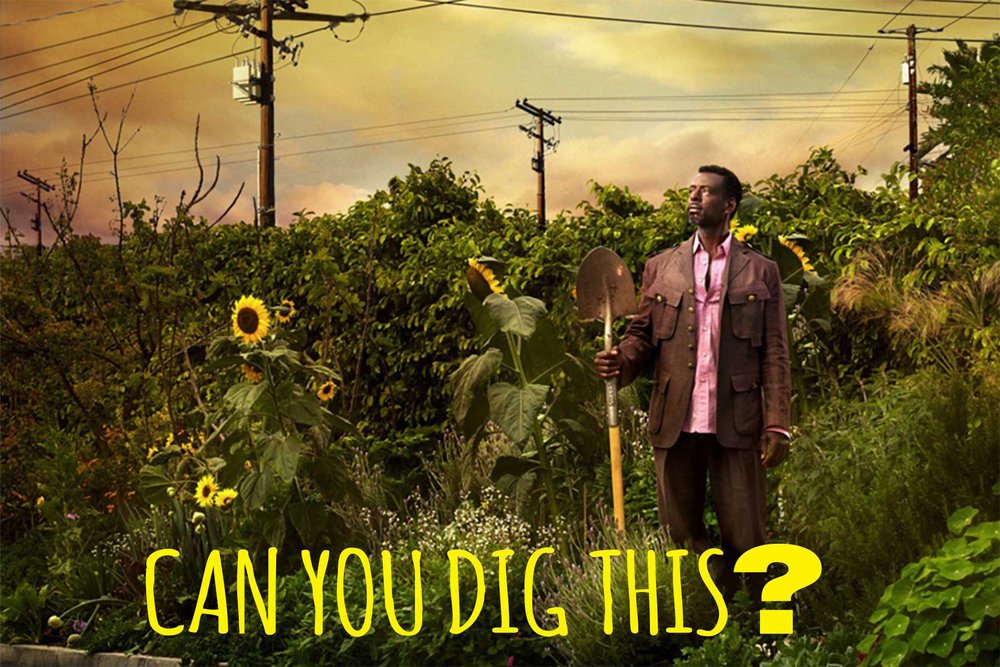HortonJulia's tweet photo. #Canyoudigthis #Delilavallot film - #guerrillagardening from LA to Lewis @HebIntFilmFest @RonFinleyHQ #plantsomeshit
https://t.co/XAQ1REgzRP https://t.co/7JmZAfBg3x
