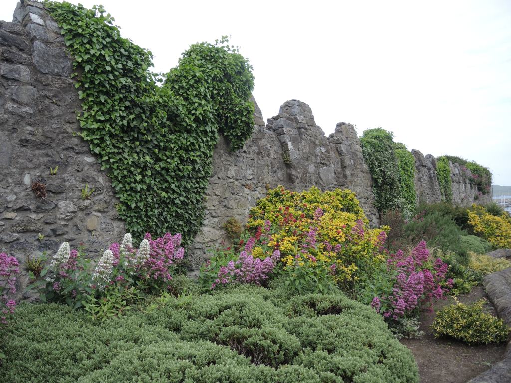 St. Mary’s Abbey in Howth 50yearproject.com/2017/09/28/st-…