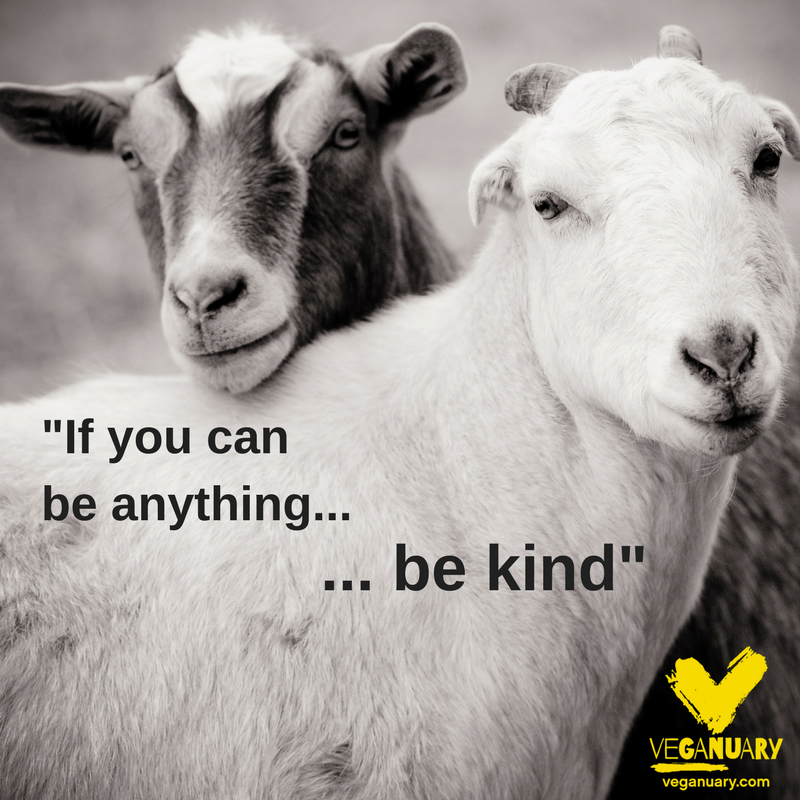 veganuary's tweet photo. Live and let live. 😊

https://t.co/Z96QwADKwL https://t.co/RI5U26sTO1