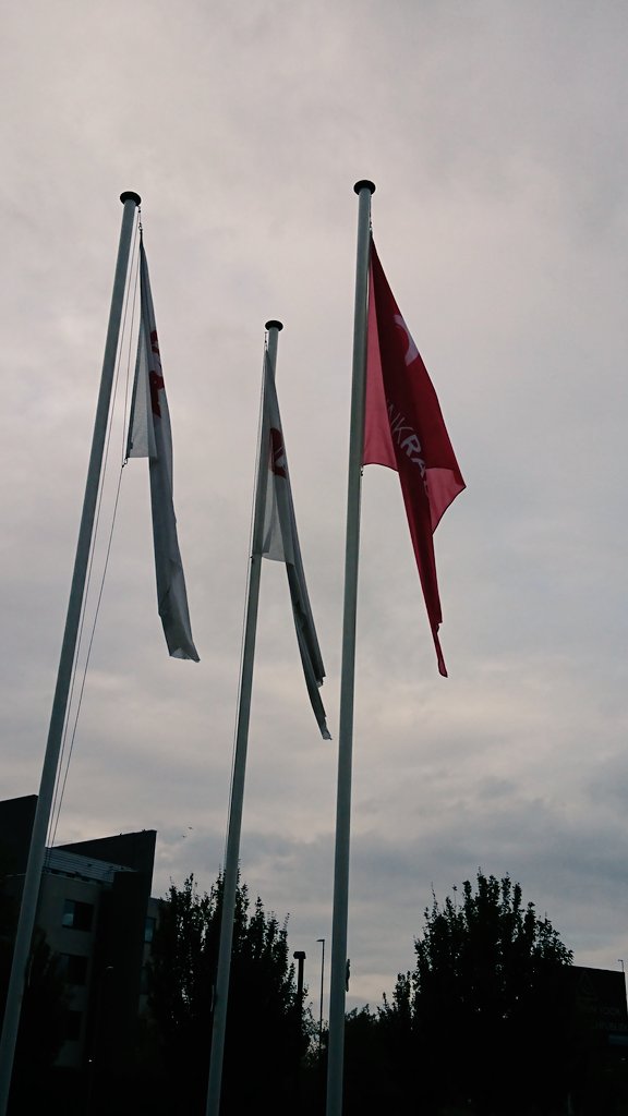 vascularis's tweet image. @MeritMedical excellent workshop on upper limb #vascular access @ThinkRadial