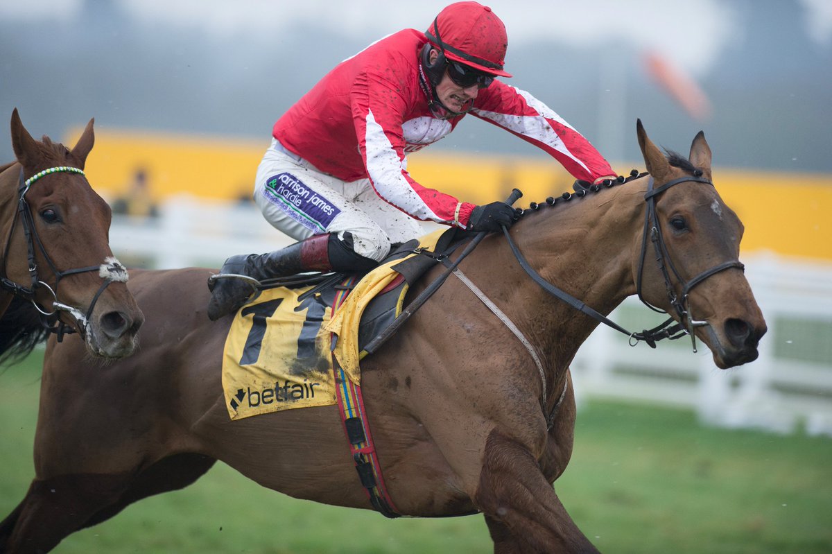 Punters_Dream's tweet photo. Ballyandy! @PerthRacecourse #ballyandy ♥️ https://t.co/JrYs71Y6om