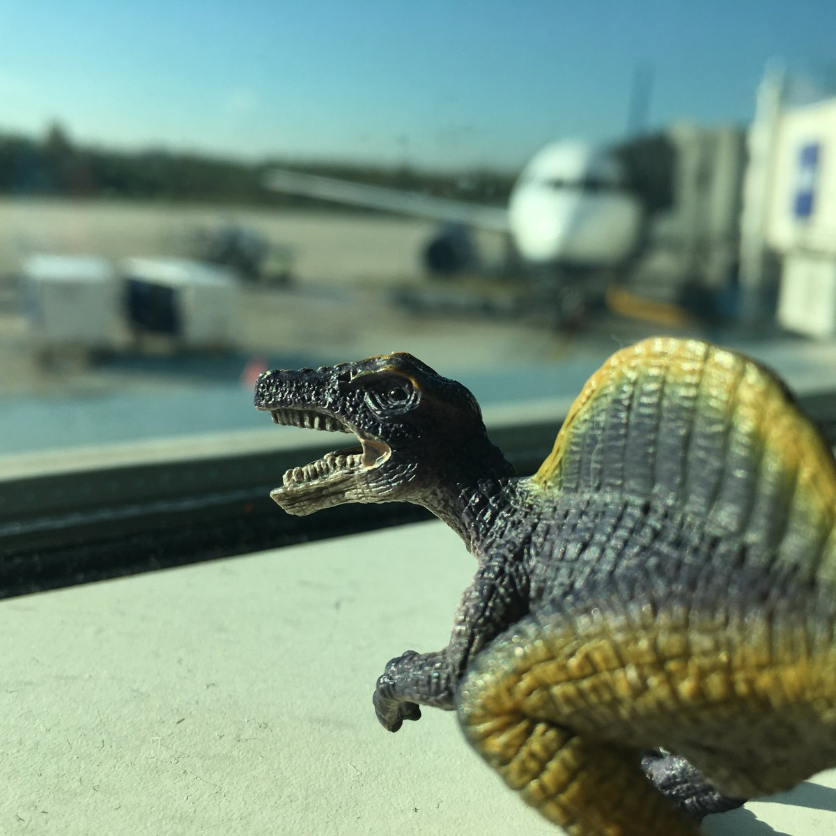 Spiny is excited! Vacation starts now.