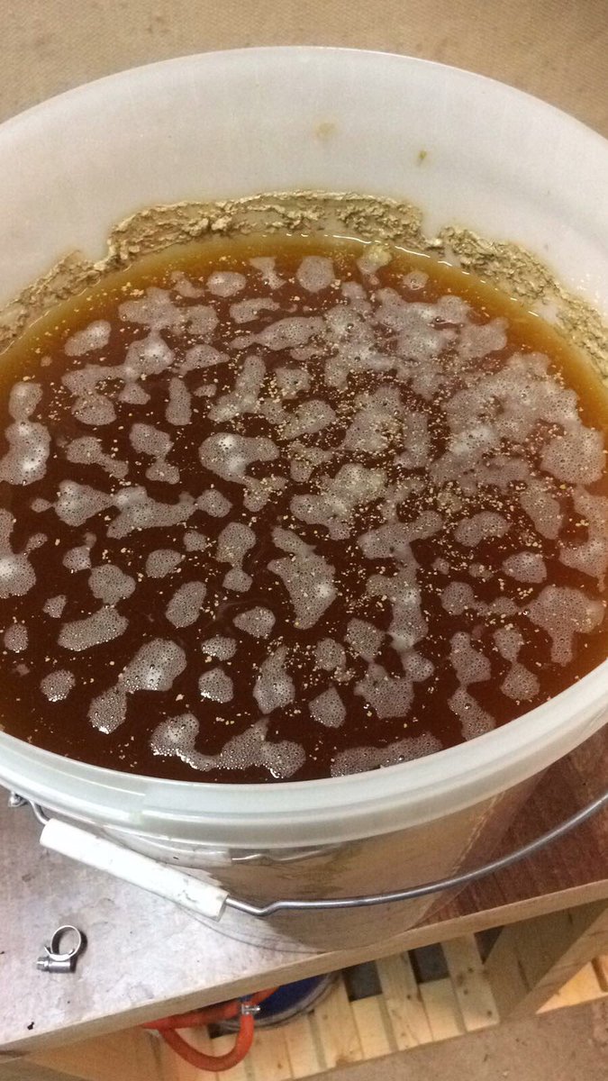 OutsideTap's tweet image. Gamble IPA coming along nicely! Seriously can't wait to try some!!