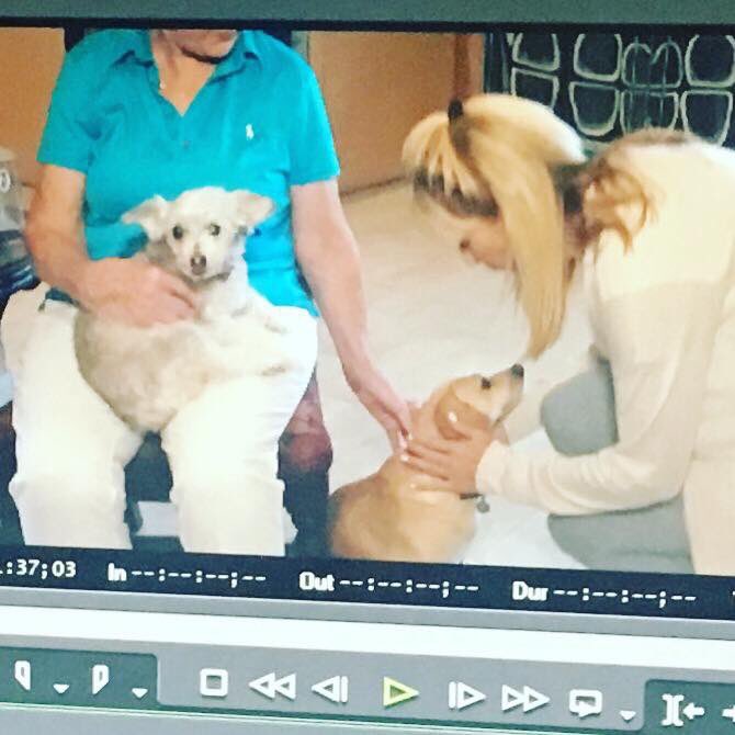 Watch @KMIRNews 4:30p today! We share a great program matching seniors + rescue animals! #BeInspired #KMIRCares #MakingADifference 👍🐶💗