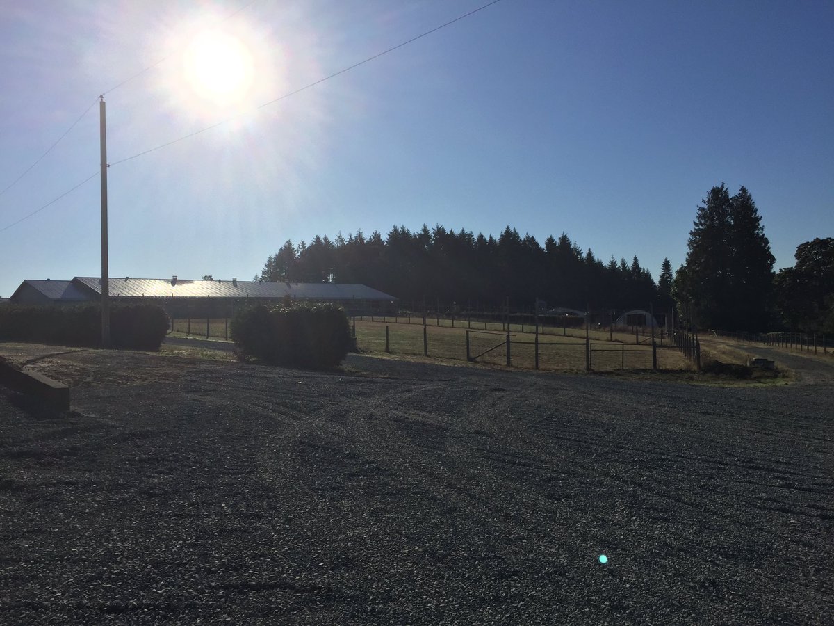 Beautiful morning to check out one of our Vancouver Island egg farms in Cedar.