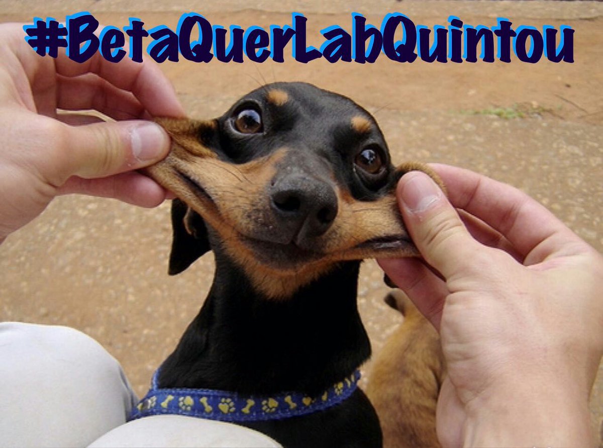 Boa Noite!
Sempre tenha esperança.A melhor sensação do mundo é saber que existem infinitas possibilidades.
#BetaQuerLabQuintou #BetaQuerLab