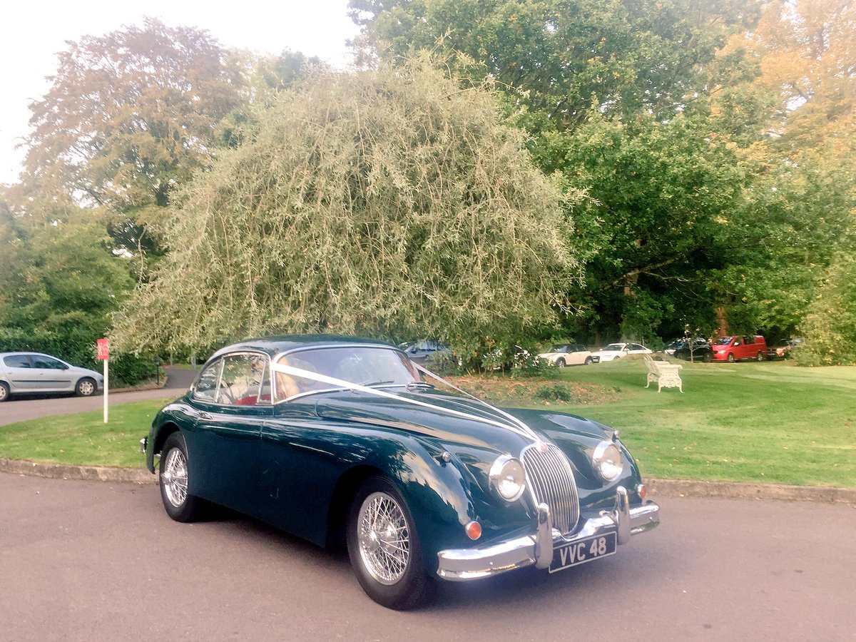 Mark Godfrey FIH MI (@markgodfreymi) on Twitter photo Well done #teamDP <a href="/DeerParkHotel/">Deer Park Hotel</a> @GMDeerParkHotel
@deerparkcar #dingdong #weddingfayre #DevonWeddings Well done #teamDP <a href="/DeerParkHotel/">Deer Park Hotel</a> @GMDeerParkHotel
@deerparkcar #dingdong #weddingfayre #DevonWeddings