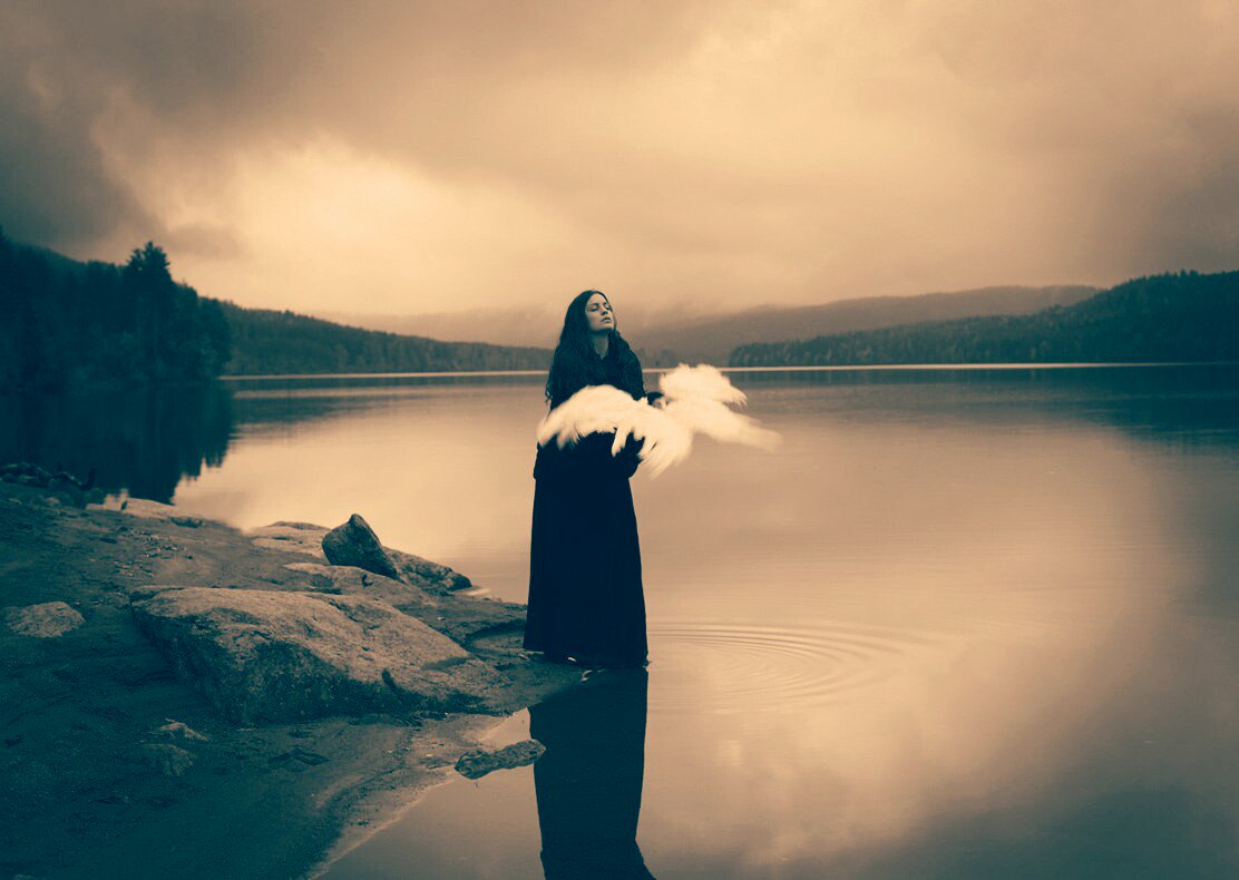 josie james tweet media