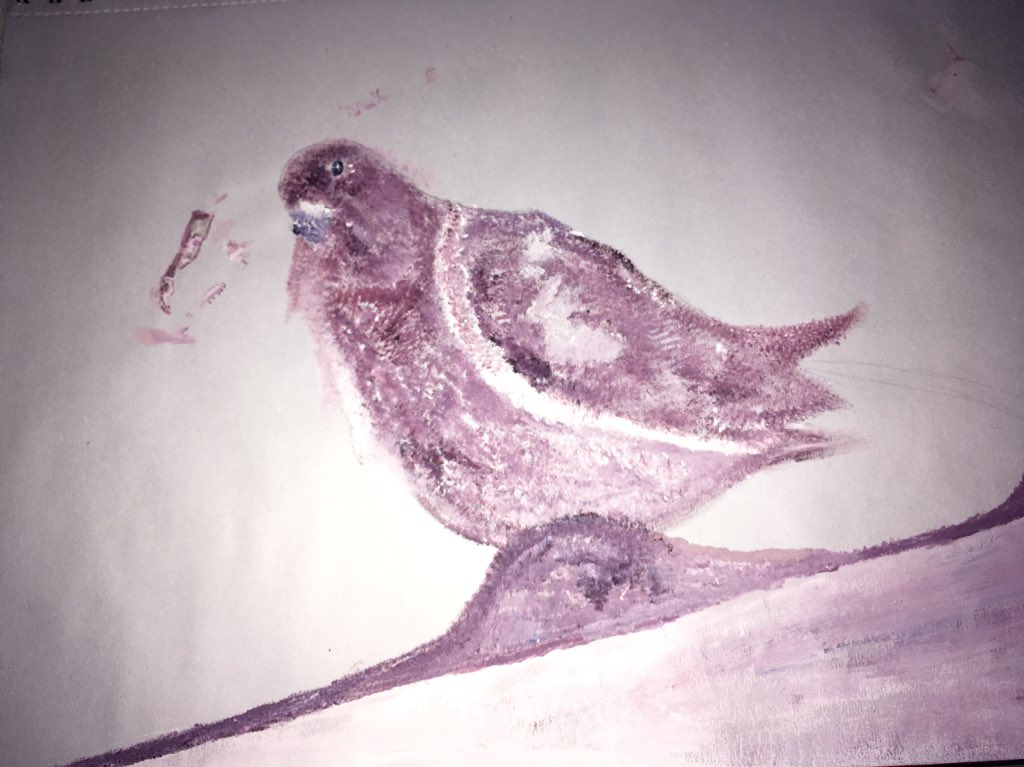 Cool colour Pigeon. (Unfinished) 2017