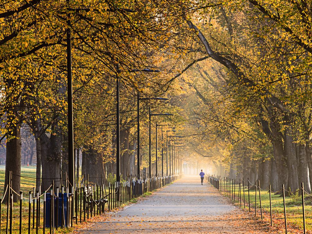 GrayLineToursDC's tweet photo. These are some of the stunning sights you can expect to see when visiting #WashingtonDC in the #autumn | https://t.co/iY1oyH6abq https://t.co/xmSqWbmpX6
