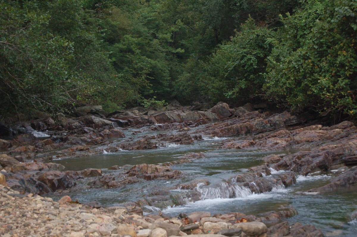MulberryRapids's tweet photo. I can't remember where, so we'll just say a creek on a #backroad somewhere near the #MulberryRiver in #Arkansas. #RoadTrip #ProbablyLost https://t.co/6YD4phuykW