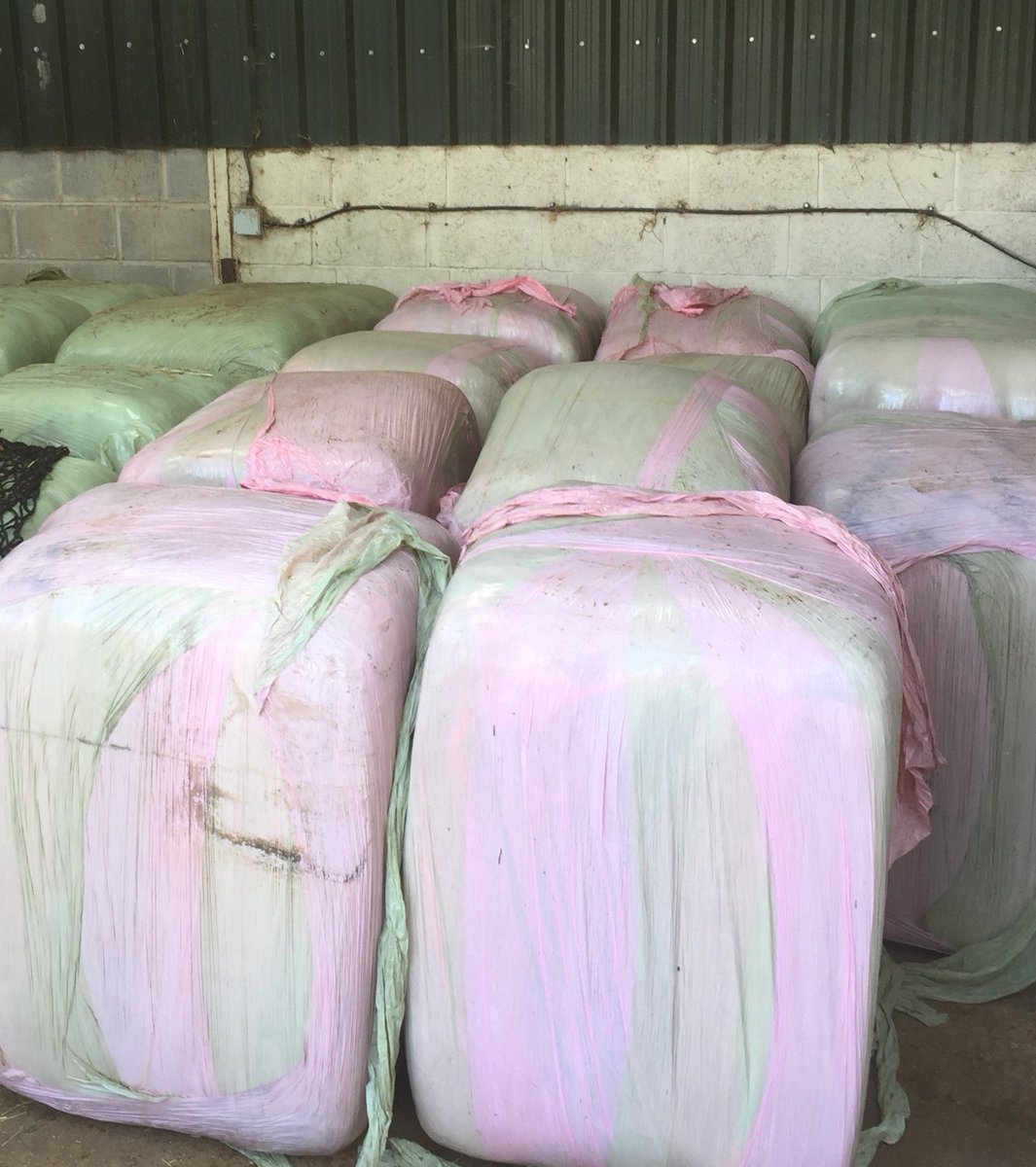 Fresh delivery of 2017 Timothy haylage and a load of Rye grass haylage to <a href="/HughesDressage/">Gareth Hughes</a> @ClassicRebecca