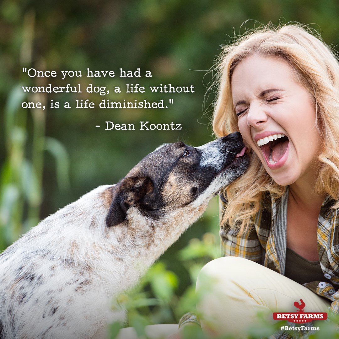 BetsyFarms's tweet photo. Wonderful dogs = happy lives. #BetsyFarms #Dogs #Treats #DogLover #DogTreats https://t.co/kyDVHzuuOC