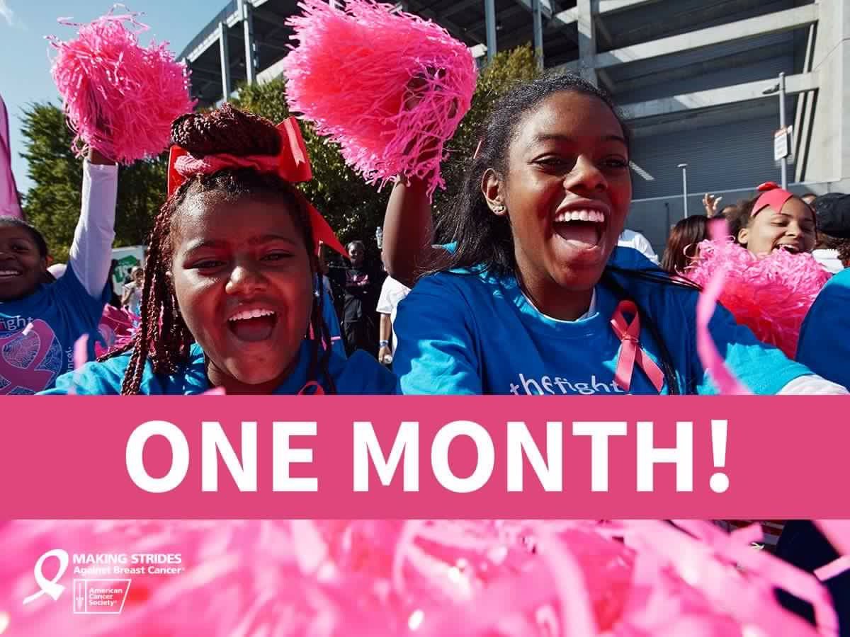 MakingStridesSM's tweet photo. Our offical countdown has begun! We are one month away! Have you signed up for our 2017 event? https://t.co/jEREEGySRN https://t.co/Jb4BFLLMKP