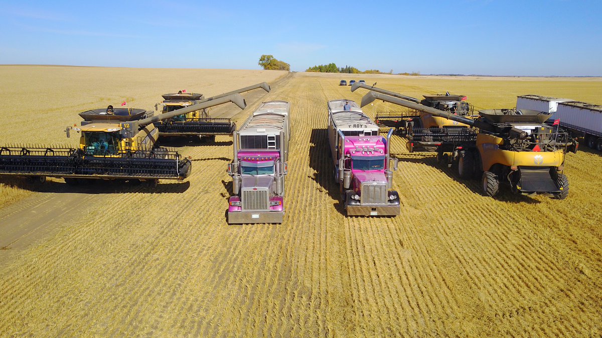 matthewscharf1's tweet photo. Perdue Arena fundraiser harvest 2017 @nickscharf4 @may_troy @CKOMNews @graysangus @MoodysEquipment @NewHollandAG @MacDonCareers https://t.co/QWM66rczQV