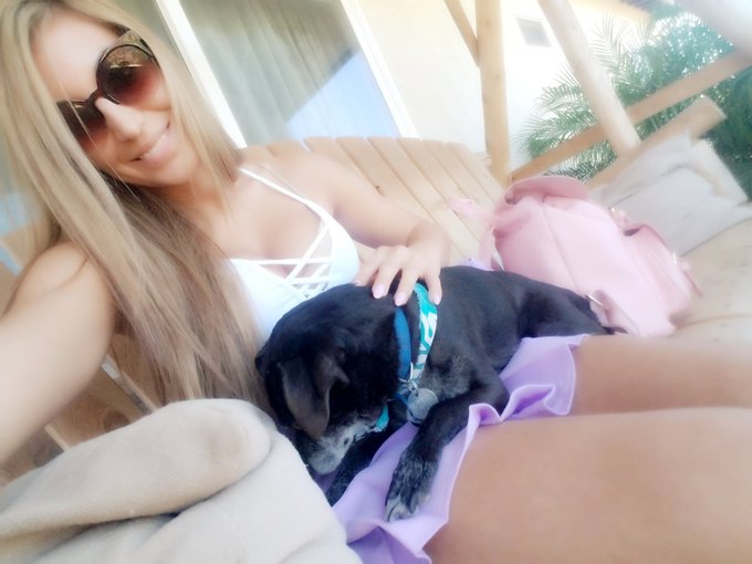 Got some puppy love today before set!😙💖💕🐶 #puppy #petting https://t.co/W5DqEKLt1H<a href="/tag/puppy"class="tags">#puppy</a><a href="/tag/petting"class="tags"><span>#petting</span></a>
