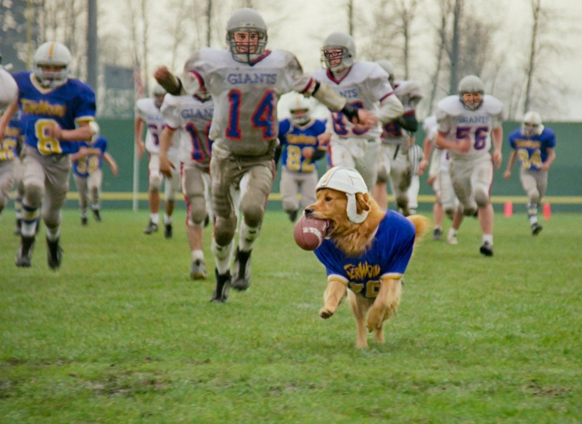 король воздуха золотая. кевин зегерс король воздуха 2. король воздуха фильм 1997. король воздуха золотая. фильм бадди король воздуха.