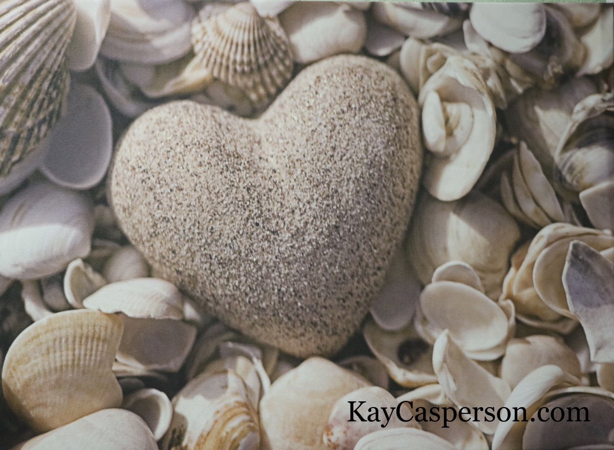 KayCasperson's tweet photo. Salt water heals everything....
#justaddwater #sanibelisland #captivaisland #shelling #relax #simplicity #sandytoes https://t.co/7mZBUCFj4M