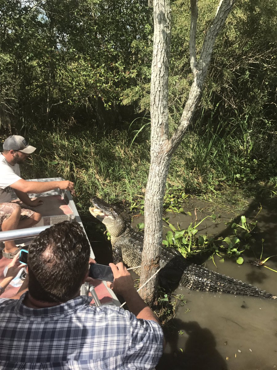 FargoParks's tweet photo. Members of #FargoParks Staff got a chance to explore the marshes &amp; swamps of Louisiana while at the #NRPAConference this week. https://t.co/JaDmcQ5e6N