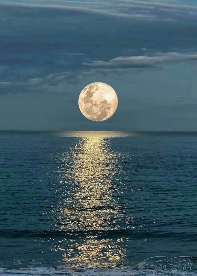 mrmr117's tweet photo. مساء الخير بعد غياب .... https://t.co/Ij9B04MH0z