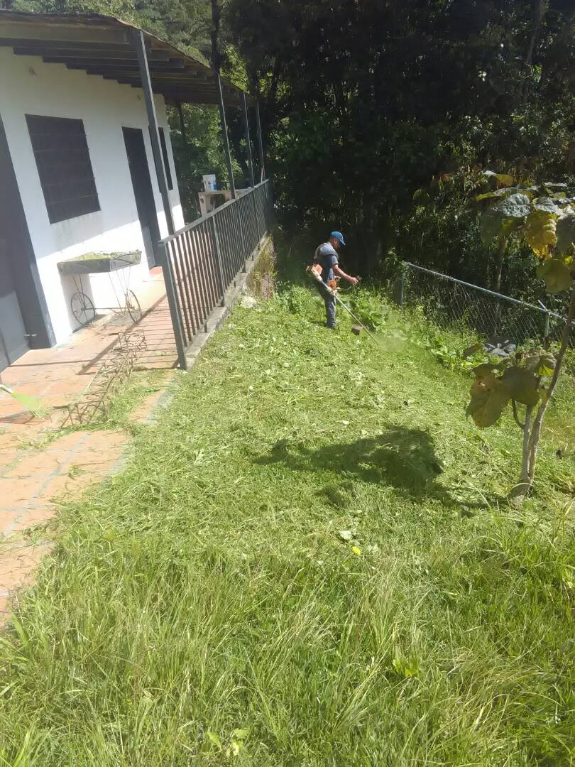 AlcaldiaCT's tweet photo. @AlcaldiaCT desmaleza y efectúa labores de mantenimiento en IEE Colonia Tovar https://t.co/q7uEIfcKKz