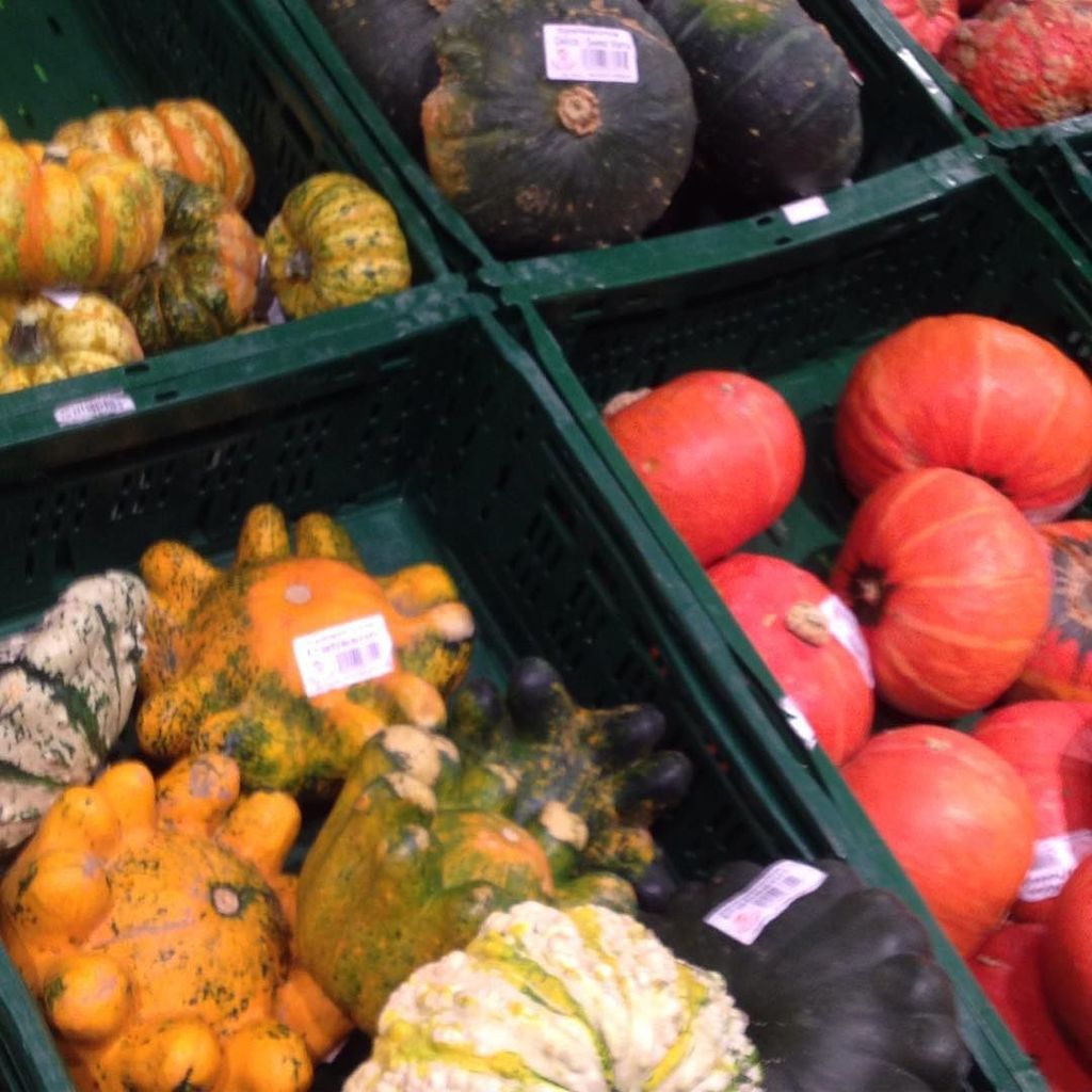 #autumn🍁 #pumpkins #goodchoice #fordecoration #foreating #buy #hit #hypermarket #sofiacitybulgaria #intime for #halloween #mladost