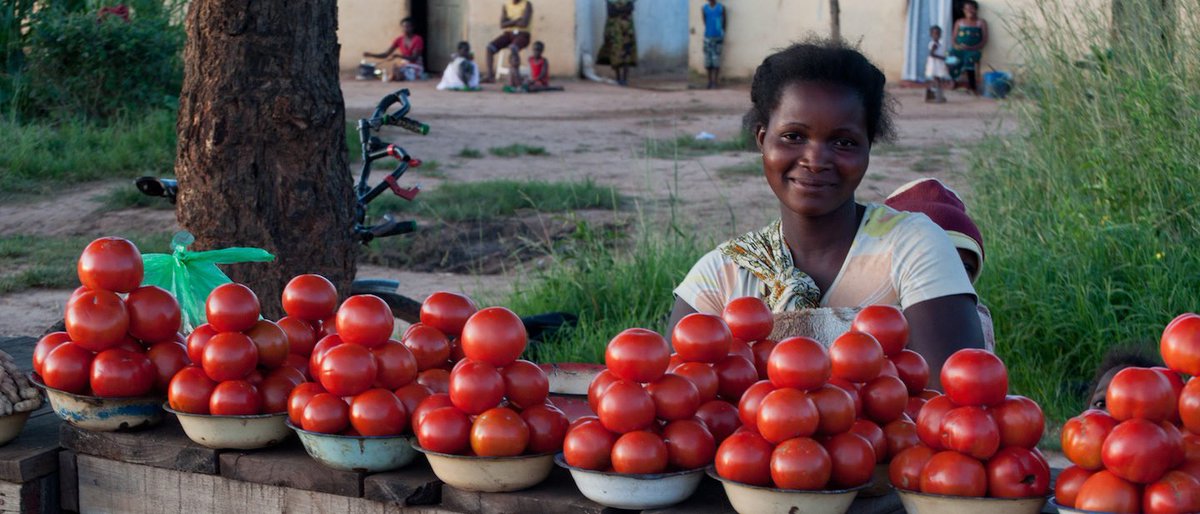 PlantCatalyst's tweet photo. We are so excited to partner w/ @iDEorg to empower #Zambian #farmers! #ag #africa     https://t.co/qFL0Wr1M7D https://t.co/OFaSCDY3Ff