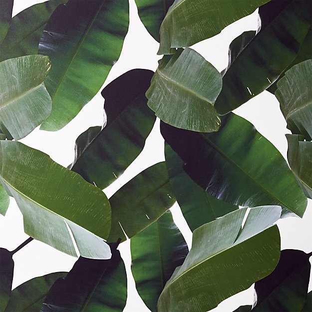 Brett Beldock tweet media