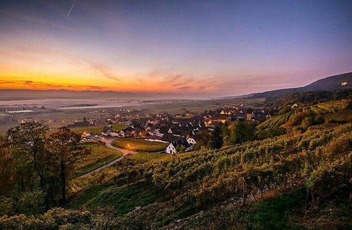 welovealsace's tweet image. Lever ou coucher de soleil...on ne s'en lasse pas

Merci @vinschneider 
Sélection @virginiedebruyne 
#welovealsace 
#jaimelafrance 
#igersf…